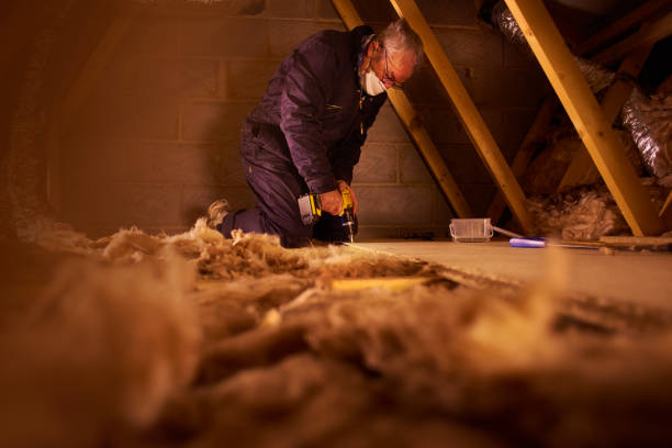 Best Insulation Installation Services in Camden, TN
